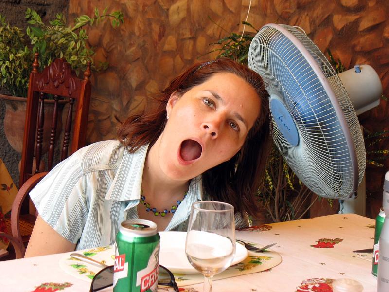 IMG_0124.jpg - Y fa chaud !!!