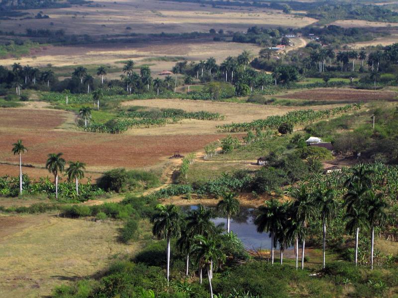 IMG_8858.jpg - ancienne plantation de canne à sucre à l'est de Trinidad