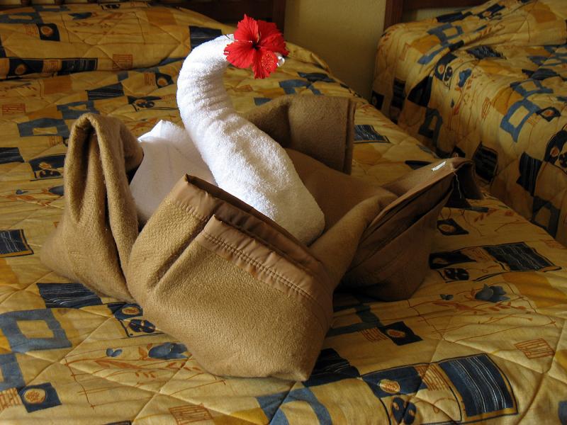 IMG_0006.jpg - origami de serviette