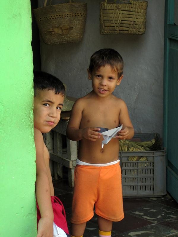 IMG_8840.jpg - apprivoisés grâce aux oiseaux en papier