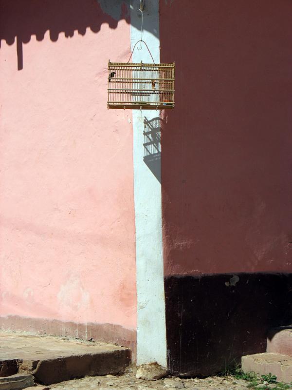 IMG_0199.jpg - des cages d'oiseaux pour enjoliver les maisons - une coutume de Trinidad