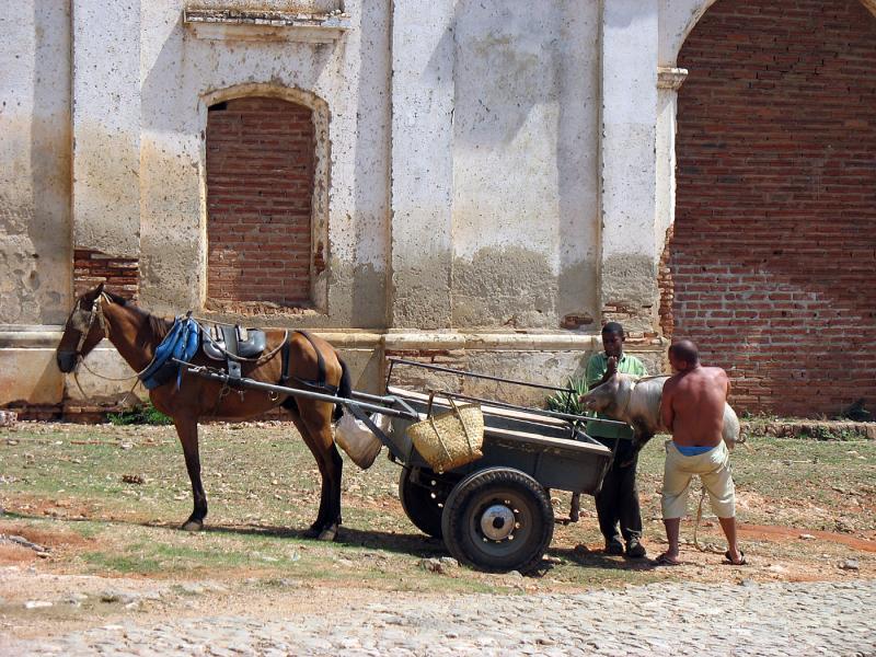 IMG_0092.jpg - c'est bon aussi pour le transport de marchandises