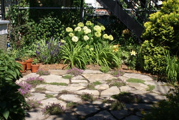 DSC07971.JPG - Cour arrière chez LynnPhoto: Harri Lamminsalo