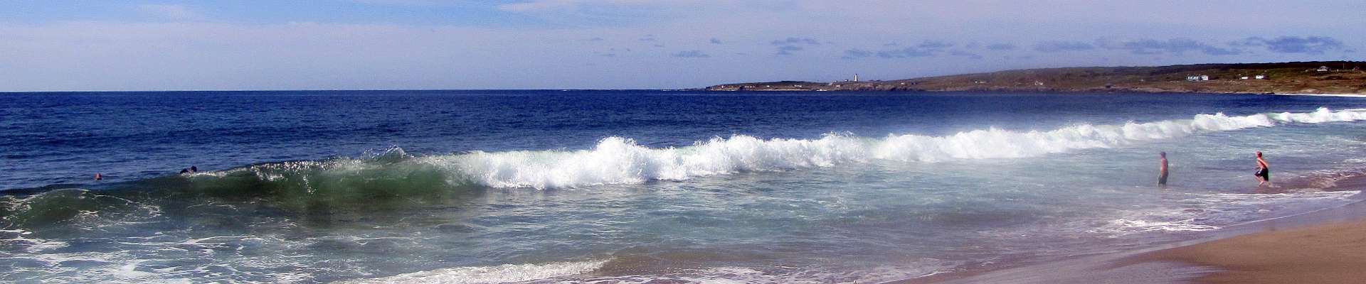 Click to show or hide the top-buttons