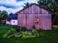 Coucher de soleil dans la cour arrière.