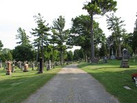 Taking a tour of the cemetary. Always the nicest trees there.