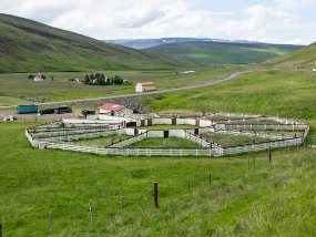 IMG_9376r Ferme et enclos à moutons