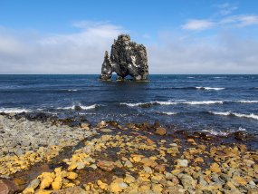 IMG_9427r Hvitserkur