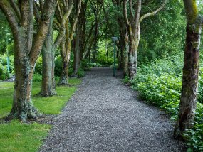 IMG_9255r Jardin Botanique de Akureyri