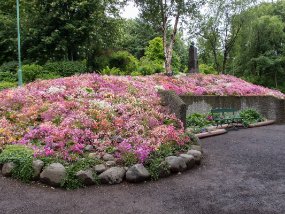IMG_9262r Jardin Botanique de Akureyri