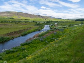 IMG_0665r De Borgarnes à Reykjavík - Détour pour aller visiter Þingvellir - Paysage de campagne près du village de Æsustaðavegur sur la route Þingvallavegur (route 36).