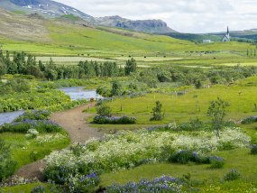 IMG_0678r Route de Þingvallavegur. Paysage près de Æsustaðavegur
