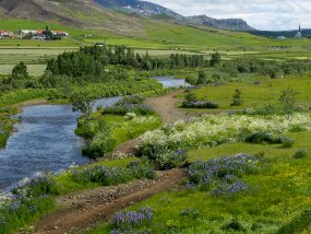 IMG_0680r Route de Þingvallavegur. Paysage près de Æsustaðavegur