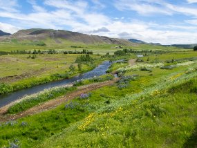 IMG_0681r Route de Þingvallavegur. Paysage près de Æsustaðavegur