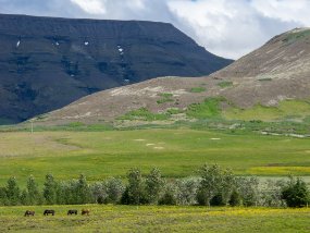 IMG_0688r Route de Þingvallavegur. Paysage près de Æsustaðavegur