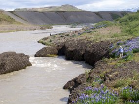 IMG_5976r Rivière Ölfusá - Wikipedia: The Ölfusá is a river in Iceland. It begins at the junction between the Hvítá and Sog rivers, just north of the town of Selfoss, and...