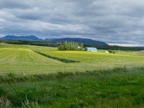 IMG_5992r La campagne est parsemée de fermes. Région de Flúðir.