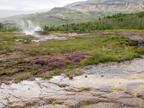 IMG_5699r Geysir