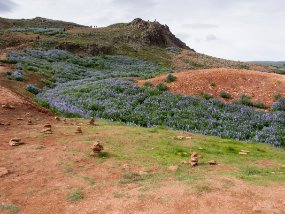 IMG_5744r Geyser Strokkur à Geysir - Colline sur le site.