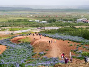 IMG_5753r Geyser Strokkur à Geysir - Vue d'en haut de la colline