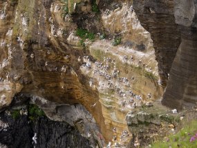 IMG_0478r Snæfellsjökull