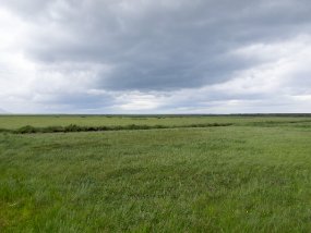 IMG_0488r Nous quittons le parc de Snæfellsjökull, destination Borgarnes.