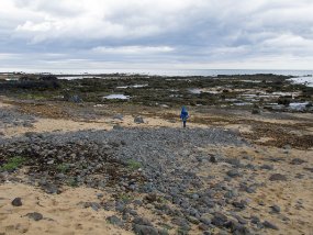 IMG_0505r Plage de Ytri Tunga. Il y a des phoques ici, mais ils peuvent être difficiles à voir.