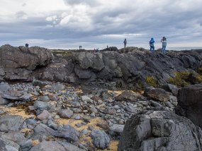 IMG_0511r Ytri Tunga