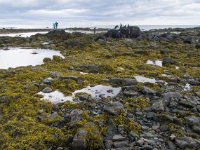 IMG_0514r Ytri Tunga