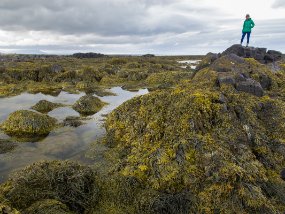 IMG_0516r Ytri Tunga