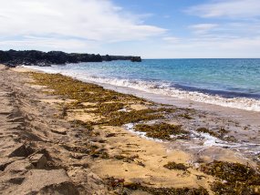 IMG_9830r Skarðsvík