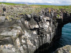 IMG_0137r Arnarstapi