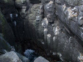 IMG_0180r Un spot assez sécuritaire pour les mouette - Arnarstapi