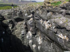 IMG_0189r Arnarstapi